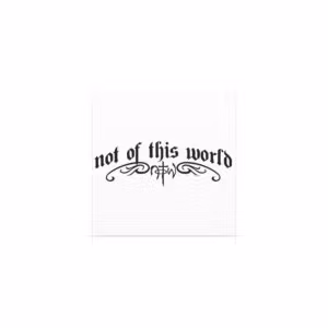 Not of this World  Magnets